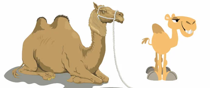 Baby Camel and Mother Inspirational Moral Story