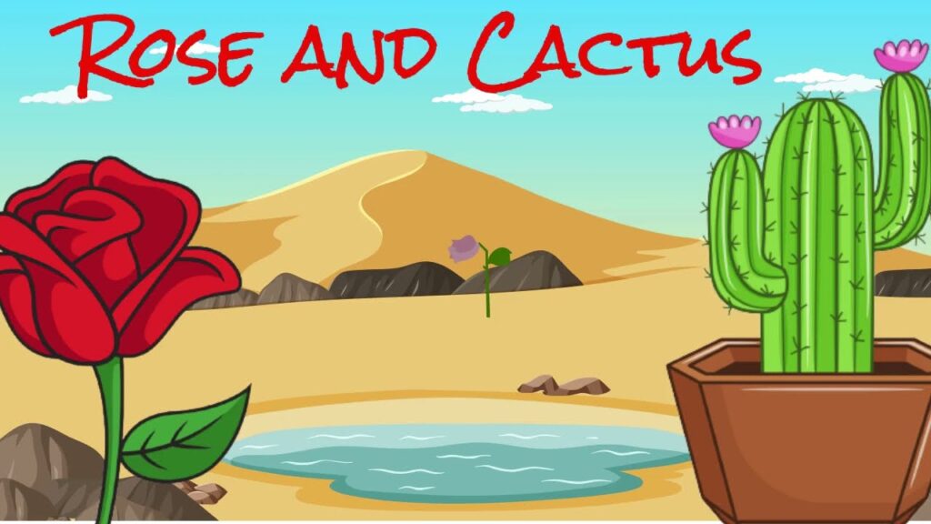 The Rose and the Cactus Moral Story