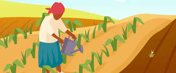 The Weight of Soil - Moral Story