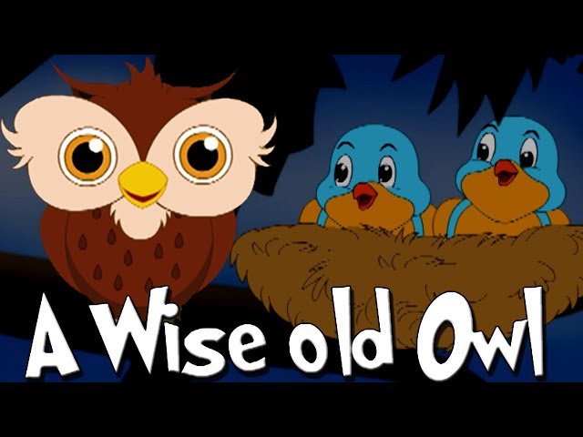 The Wise Old Owl Moral Story
